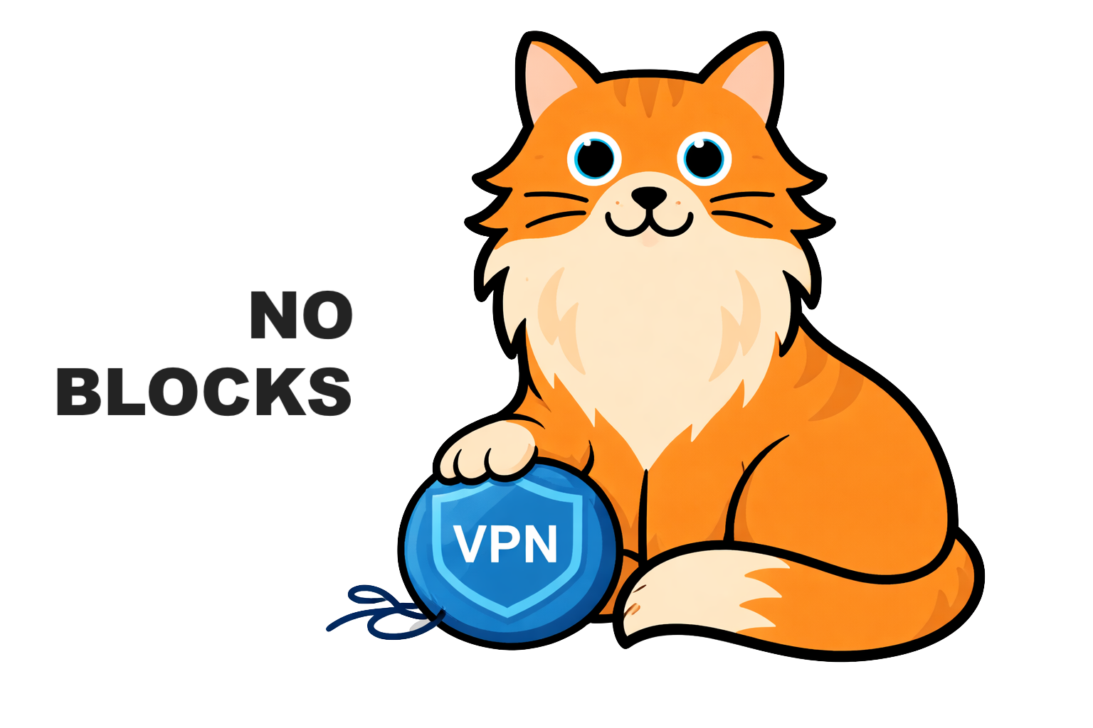 P4PN VPN